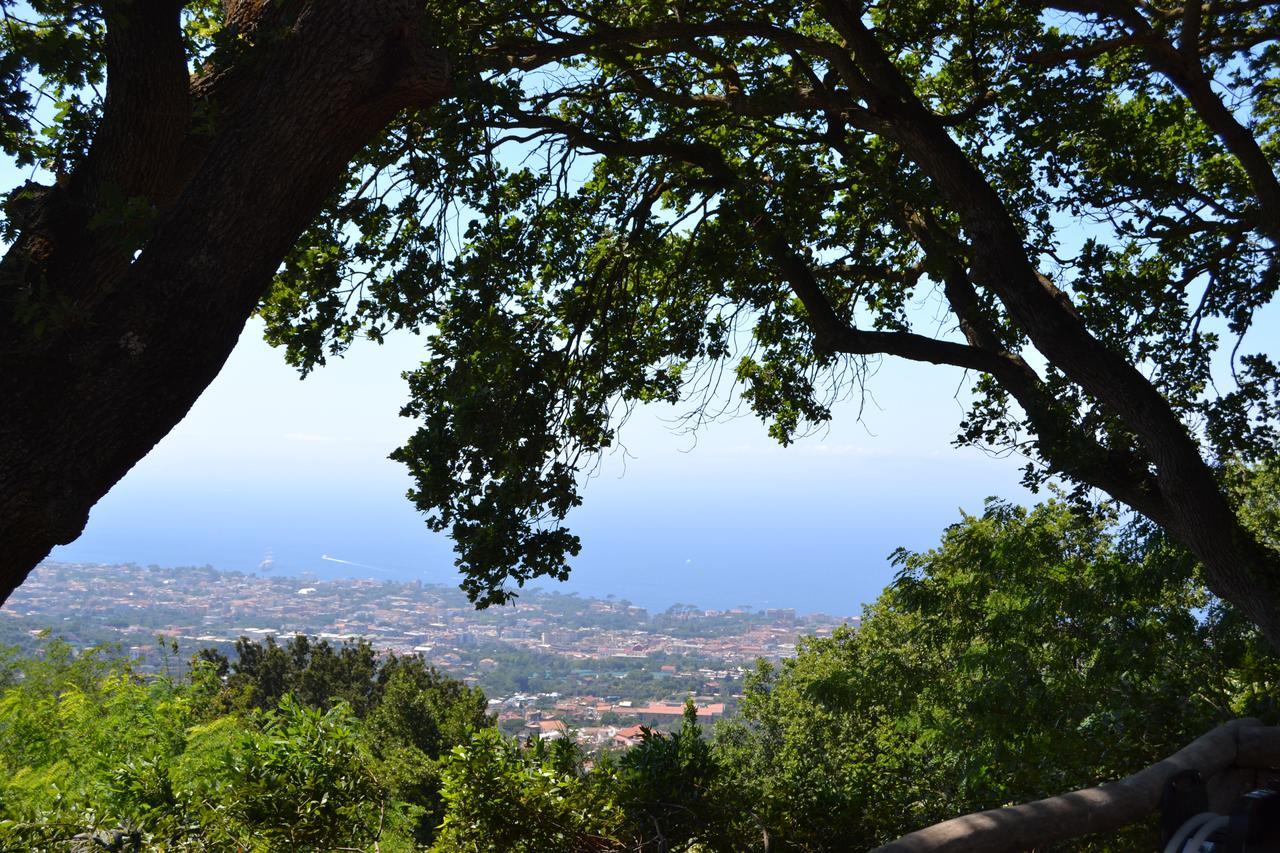 Il Casale Del Principe Aparthotel Piano di Sorrento Ngoại thất bức ảnh