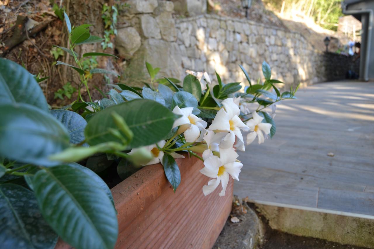 Il Casale Del Principe Aparthotel Piano di Sorrento Ngoại thất bức ảnh